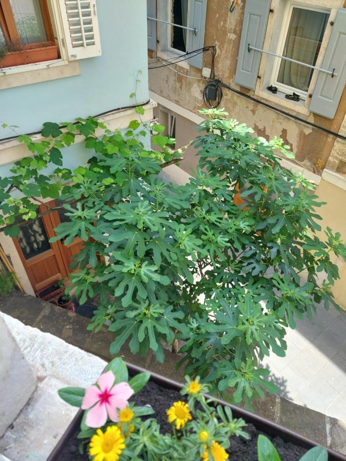 Studio Cebelica 皮兰 外观 照片